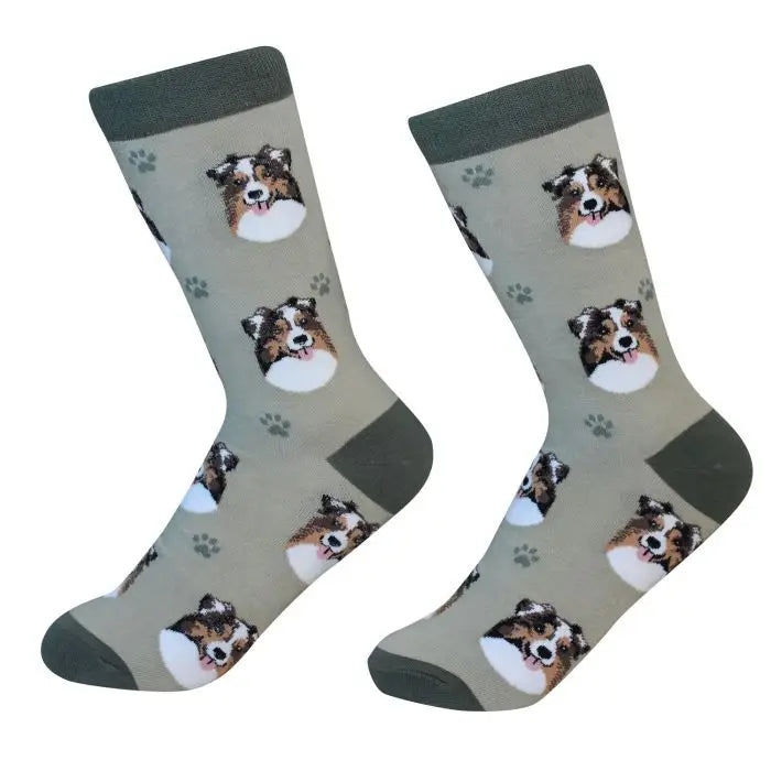 Australian Shepherd Face Socks