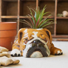 Bulldog Ceramic Planter