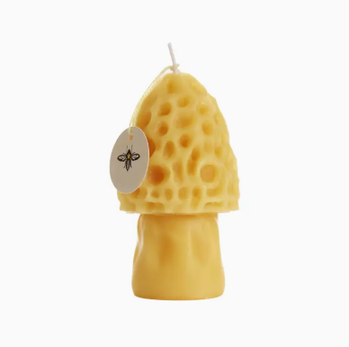 Morel Mushroom Beeswax Candle