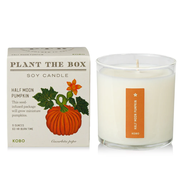 Half Moon Pumpkin Plant the Box Candle
