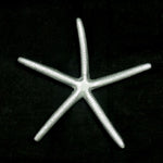 Trivet Starfish AL 8x8"